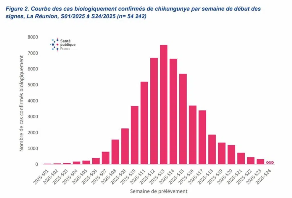 cas de chikungunya