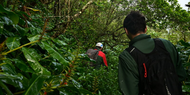 Bastien Michelon, garde forestier et son collègue Anthony Roulenq, chargé de projet risques naturels à l'ONF sur le sentier Augustave pour aller constater l'avancée des travaux. © Olivier Ceccaldi