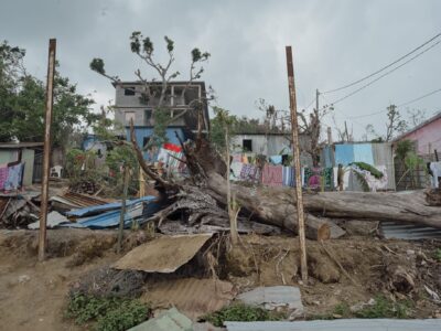 Arbre tombé sur une maison en tôle dans le quartier de Labattoir sur Petite-terre.