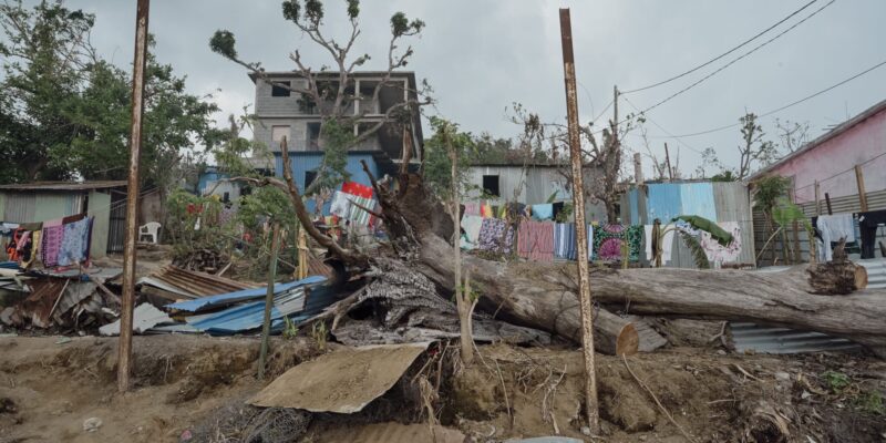 Arbre tombé sur une maison en tôle dans le quartier de Labattoir sur Petite-terre.